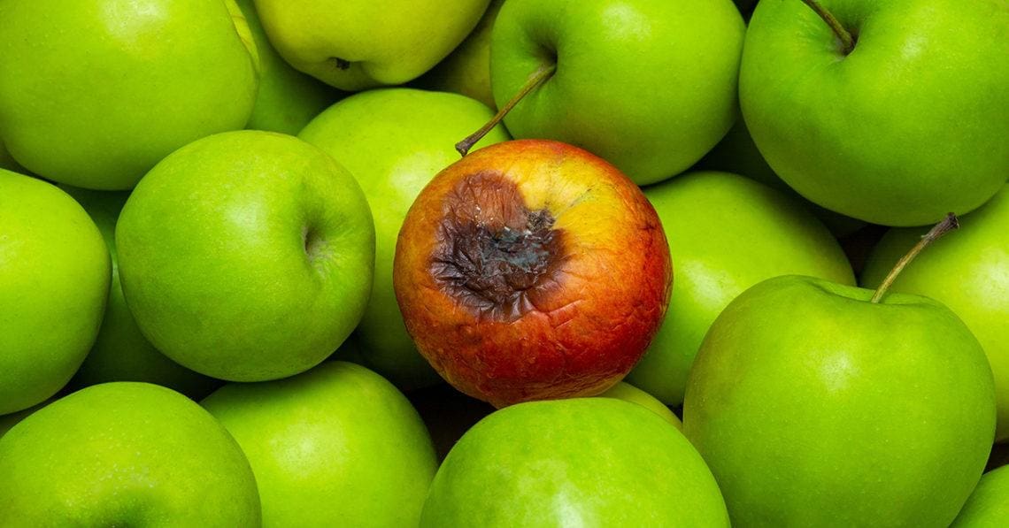 People, Bad Apples & the Effect on Corporate Compliance